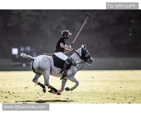 姚明骑马展风采马术图片记录运动员的优雅与力量